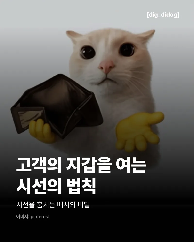 시선의 법칙