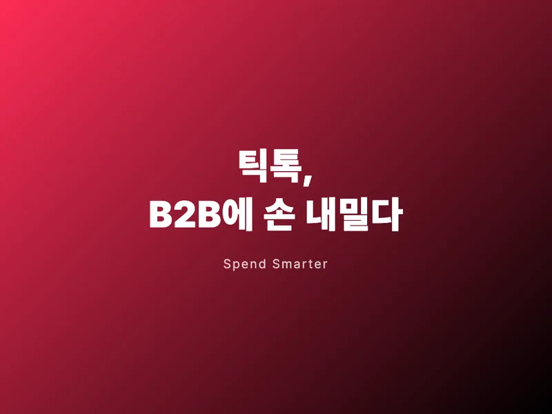 틱톡, 처음으로 B2B에 손을 내밀다