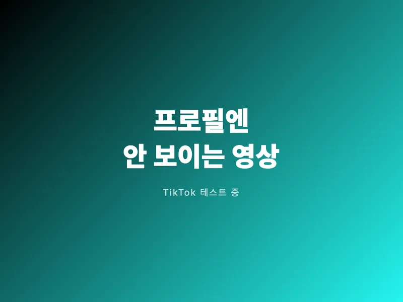 틱톡, 프로필엔 안 보이는 영상이 생긴다