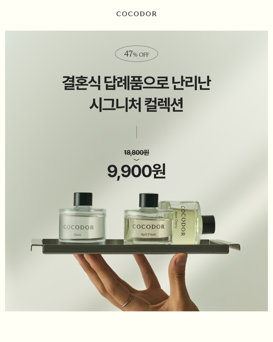 코코도르 시그니처 컬렉션