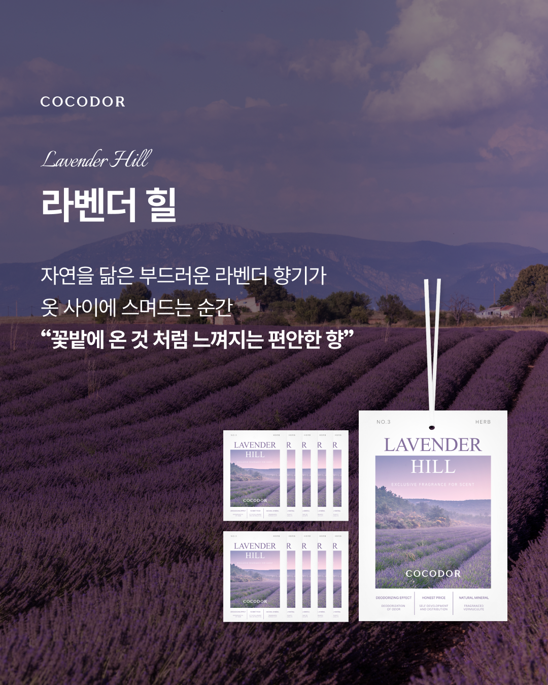 코코도르 상시 샤쉐 영상