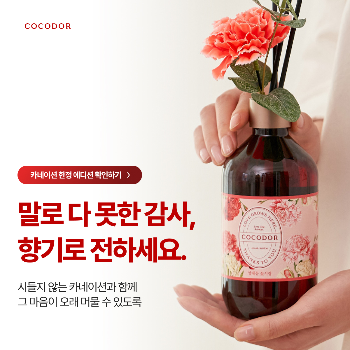 코코도르 가정의달
