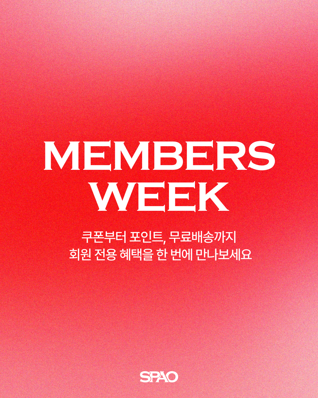 SPAO 멤버스위크