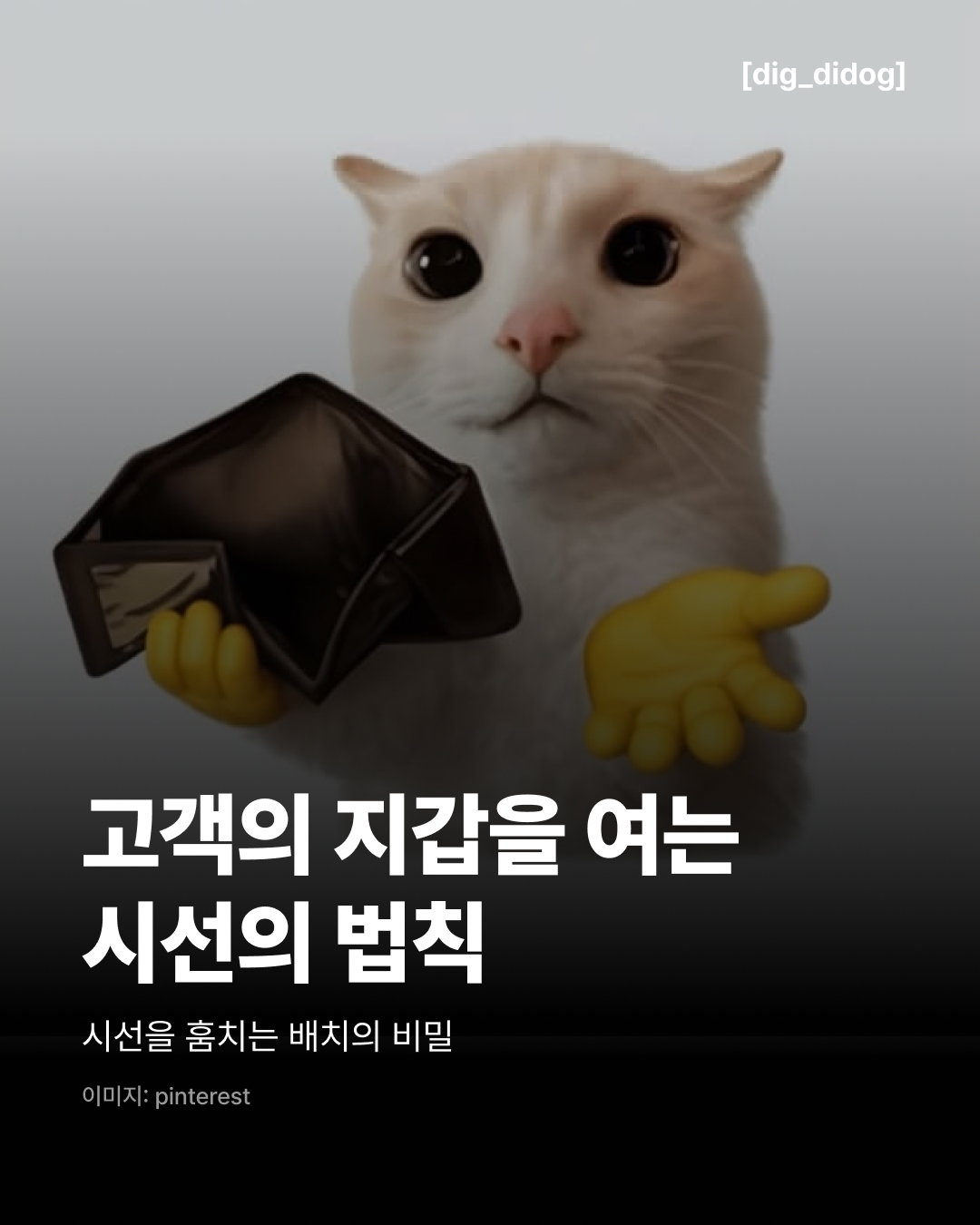 시선의 법칙